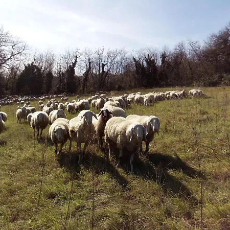 La Quercia - Taverna Nel Borgo Medievale Apartment *