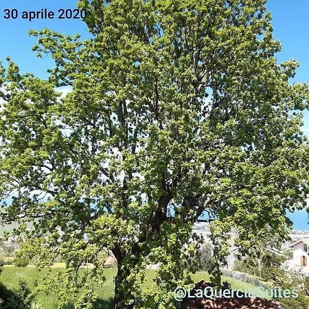 La Quercia - Taverna Nel Borgo Medievale * Mosciano Sant'Angelo