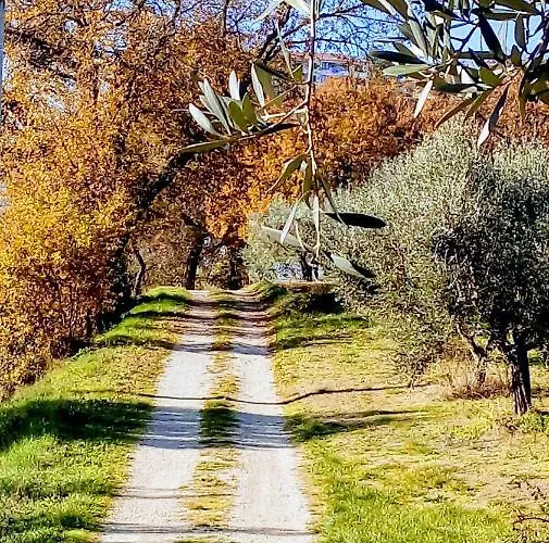 La Quercia - Taverna Nel Borgo Medievale Mosciano SantʼAngelo
