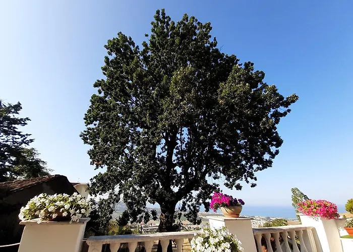 La Quercia - Taverna Nel Borgo Medievale شقة Mosciano SantʼAngelo