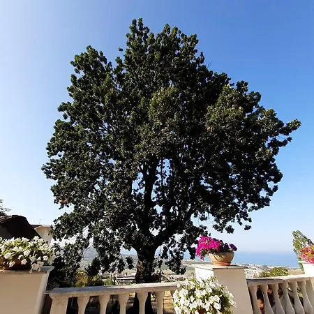La Quercia - Taverna Nel Borgo Medievale Daire Mosciano SantʼAngelo