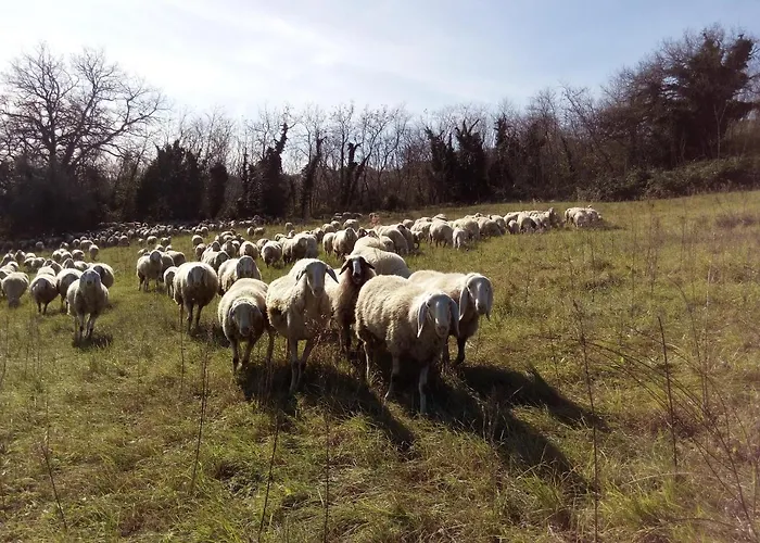 Taverna Nel Borgo Medievale Appartamento *