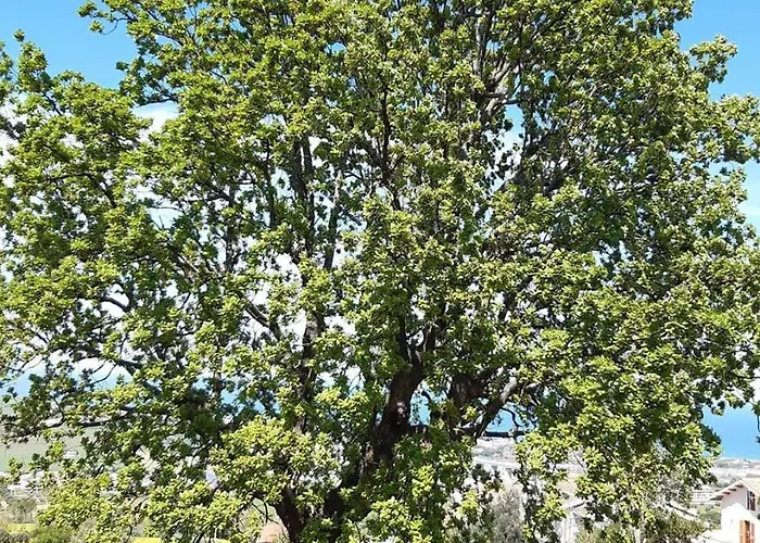 La Quercia - Taverna Nel Borgo Medievale * Мошано-Сант'Анджело